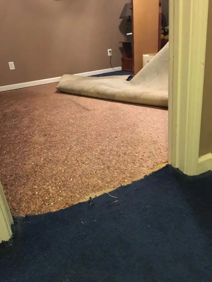 Carpet pad removal revealing water damage during Drying & Dehumidification in Glencoe